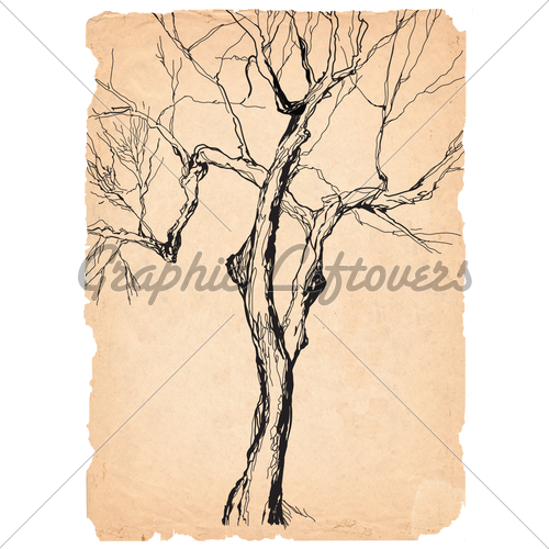 500x500 Old Tree Shabby Paper Pen Drawing Gl Stock Images - Old Tree Sketch