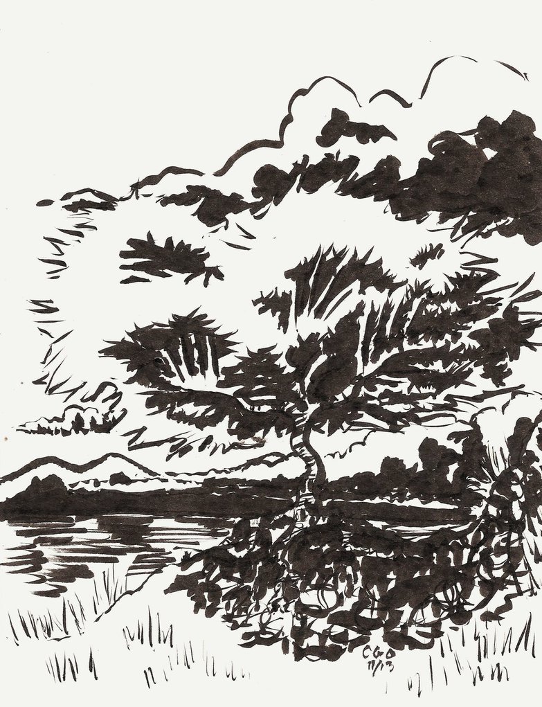 783x1021 Old Tree Sketch By Callego - Old Tree Sketch