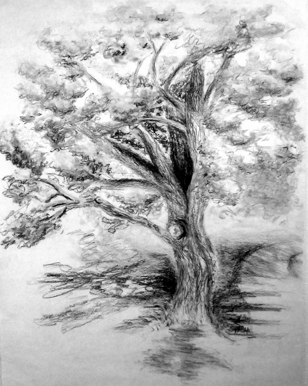 1277x1600 Charcoal Tree Sketches - Old Tree Sketch
