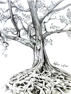 236x315 The 17 Best Tree Images Images Drawing Trees, Tree - Old Tree Sketch