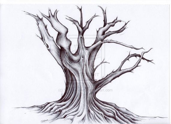 570x414 Tree Art Gnarley Old Tree Ink Drawing High Etsy - Old Tree Sketch