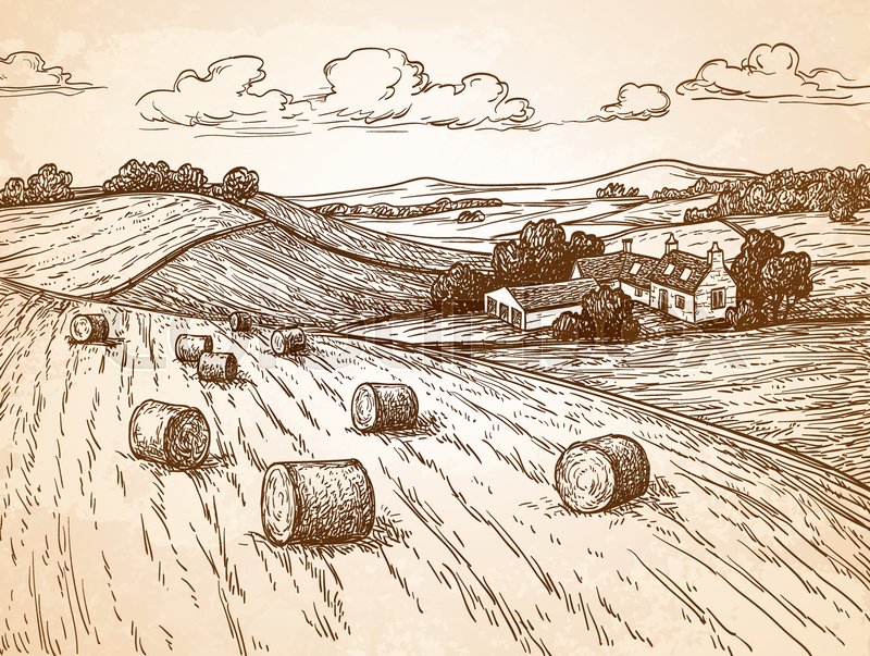 800x603 Field With Haystacks. Countryside Landscape. Rustic Scenery With - Old Village Sketch