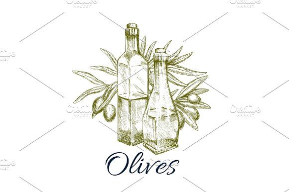 580x386 Olive Oil Sketch Label Design With Branch, Fruit - Olive Branch Sketch