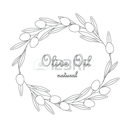 450x450 Sketch Olive Branch Wreath With Leaves And Fruits On White Stock - Olive Branch Sketch