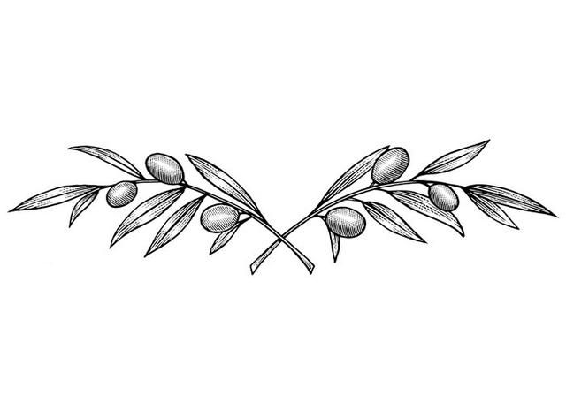 640x457 Main.php Digital Black And White Tattoos - Olive Branch Sketch