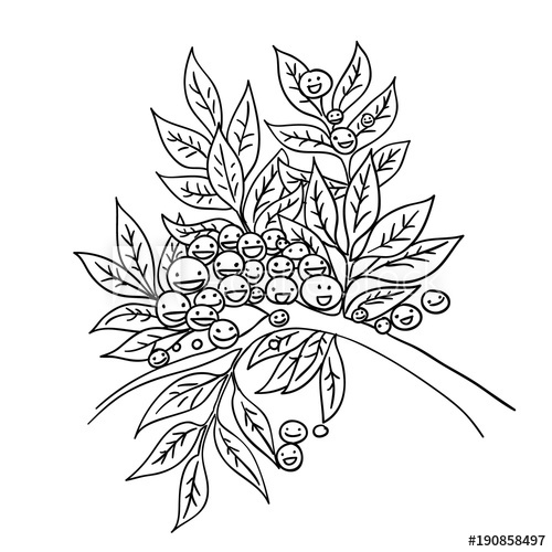 500x500 Olive Branch Black And White Sketch Cartoon Doodle Vector - Olive Branch Sketch