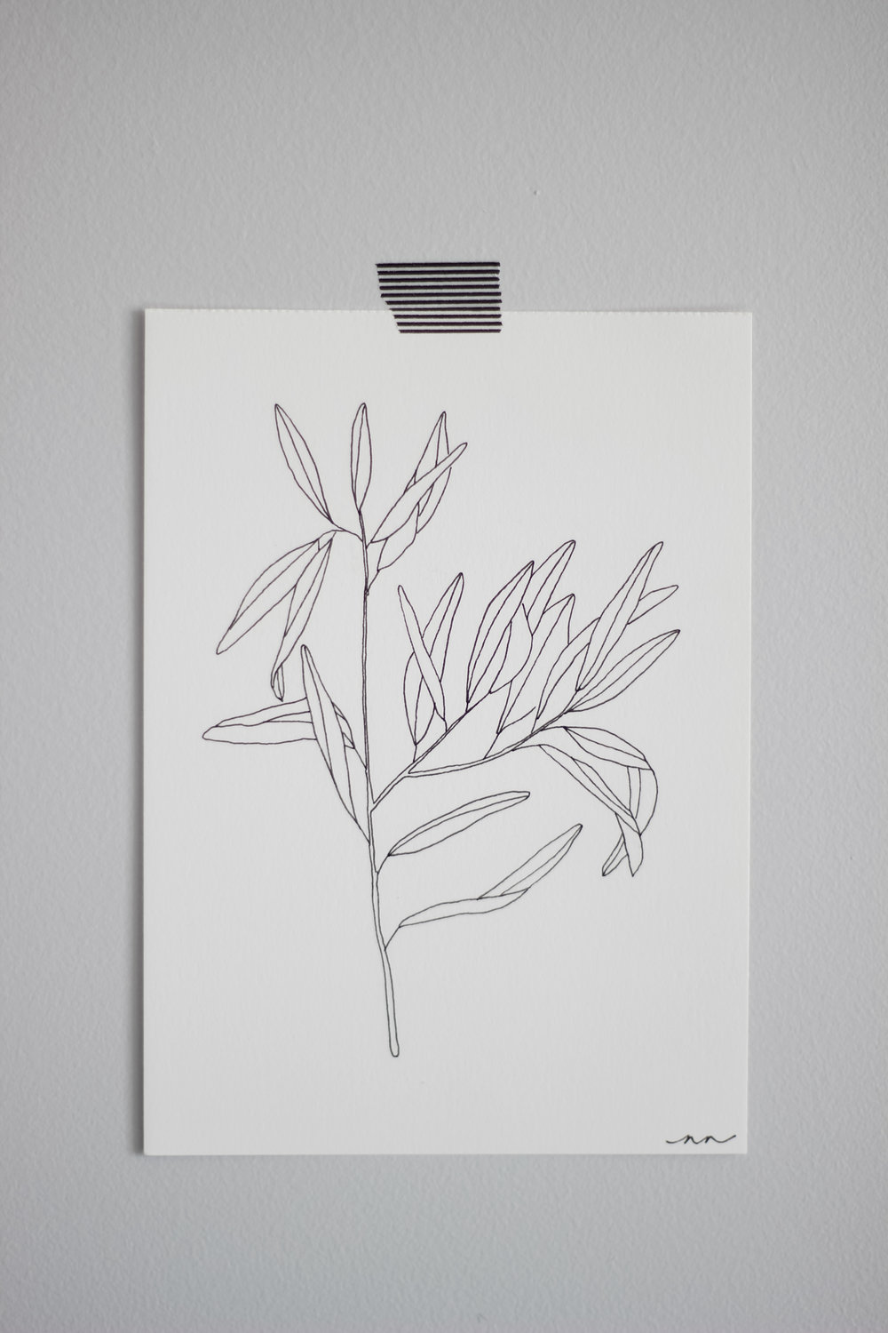 1000x1500 Olive Branch In Ink I Art Prints - Olive Branch Sketch