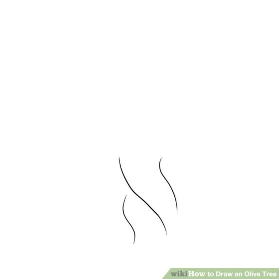 560x560 How To Draw An Olive Tree 6 Steps (With Pictures) - Olive Leaf Sketch
