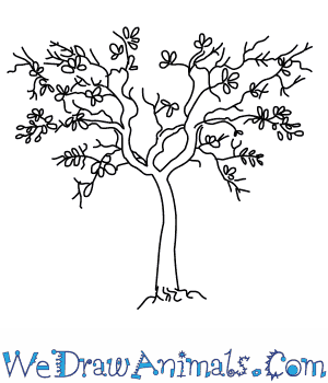 300x350 How To Draw An Olive Tree - Olive Leaf Sketch