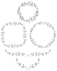 193x240 Search Photos Olive Leaf - Olive Leaf Sketch