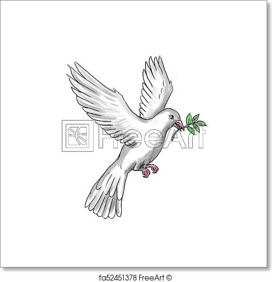 561x581 Free Art Print Of Dove Olive Leaf Tattoo. Tattoo Style - Olive Leaf Sketch