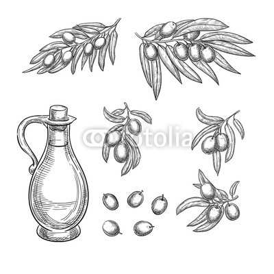 400x400 Olives Branches And Olive Oil Sketch Vector Illustration. Hand - Olive Oil Sketch