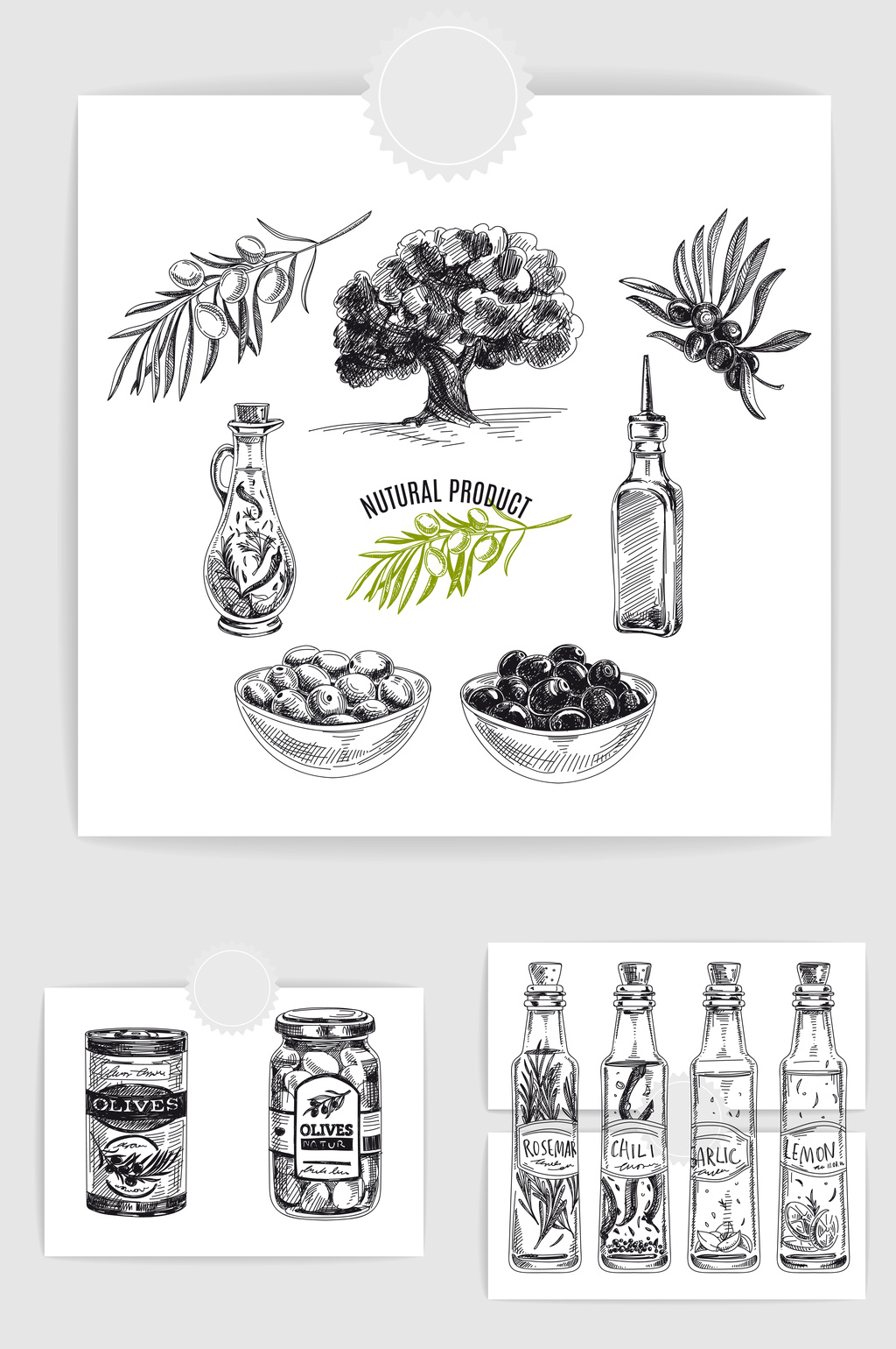 1024x1540 Sketch Hand Drawn Olive Oil Vector Elements Free Download Pikbest - Olive Oil Sketch