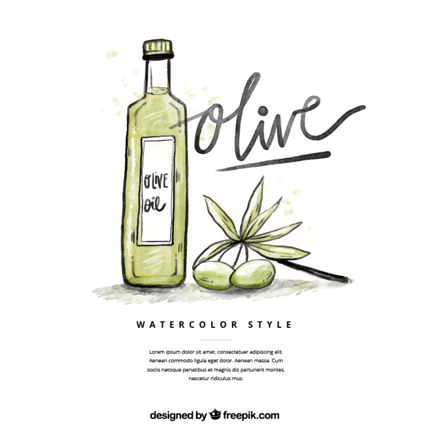 626x626 Sketch Olive Oil Background Vector Free Download - Olive Oil Sketch