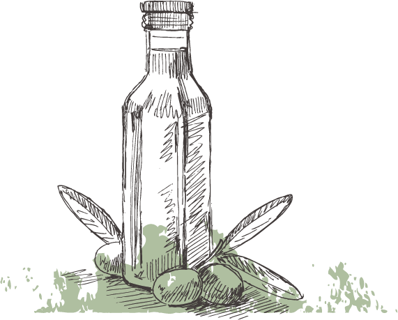 571x459 Drawn Bottle Olive Oil - Olive Oil Sketch