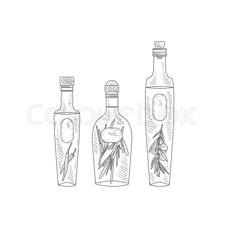 800x800 Olive Oil With Herbs Assortment Hand Drawn Realistic Detailed - Olive Oil Sketch