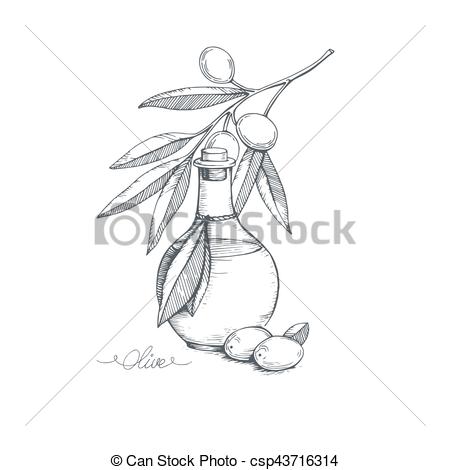 450x470 Hand Drawn Olive Sketch. Hand Drawn Olive Oil And Olive Branch - Olive Sketch