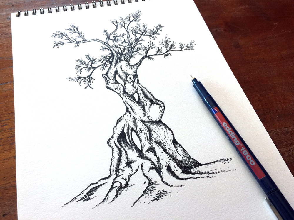 1000x750 Olive Tree Pen Sketch Olive Branch Illustration Olives Drawing - Olive Sketch