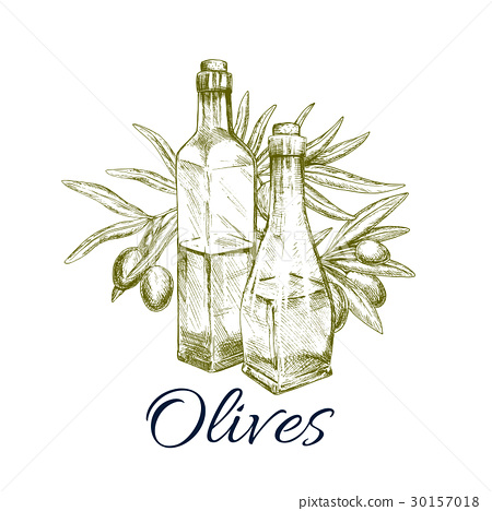 450x468 Olive Oil Sketch Label Design With Branch, Fruit - Olive Sketch