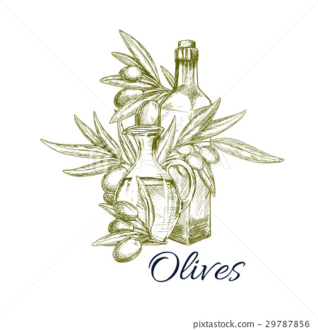 450x468 Olives And Olive Oil Bottles Vector Sketch - Olive Sketch