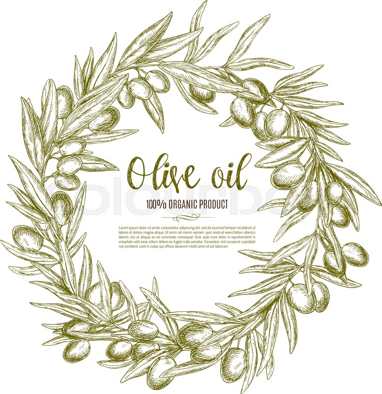 775x800 Olive Branch Wreath Sketch Label For Natural Organic Olive Oil - Olive Tree Sketch