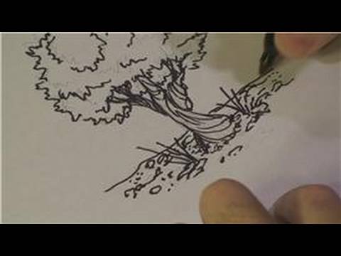 480x360 Drawing Lessons How To Draw Olive Trees - Olive Tree Sketch