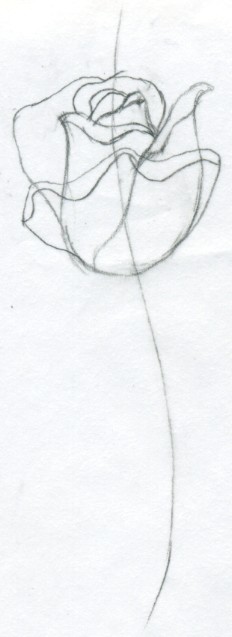 232x637 Draw A Rose Quickly, Simply And Easily - One Line Sketch