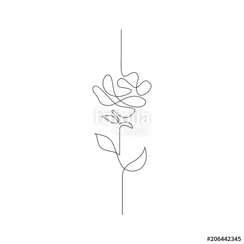 500x500 One Line Drawing. Continuous Line Flower. Hand Drawn Illustration - One Line Sketch