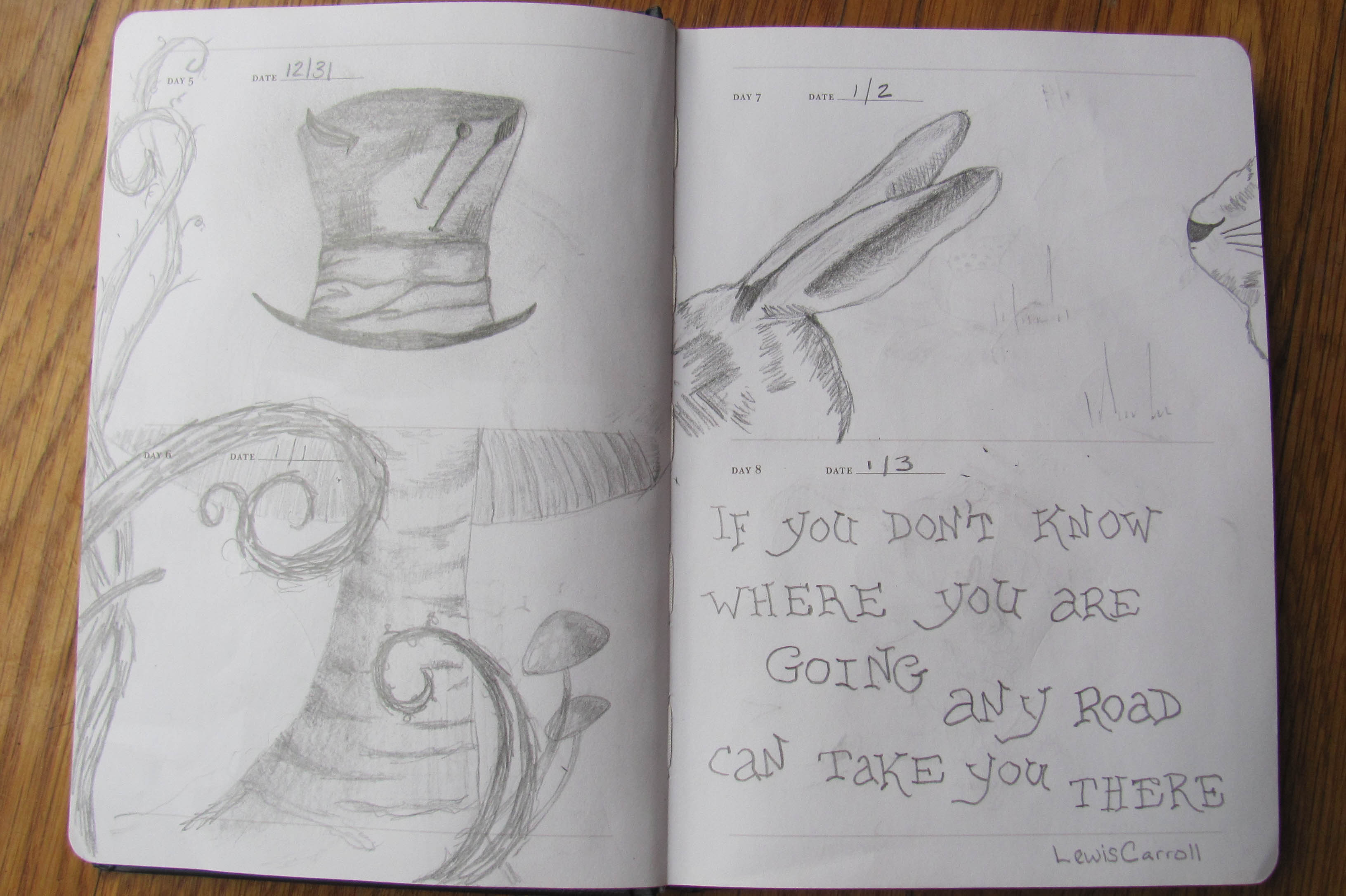 3262x2174 January 2013 Gina Dimartino - One Sketch