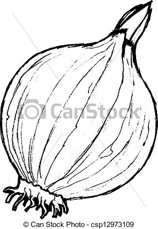 325x470 Drawn Onion Sketch - Onion Sketch