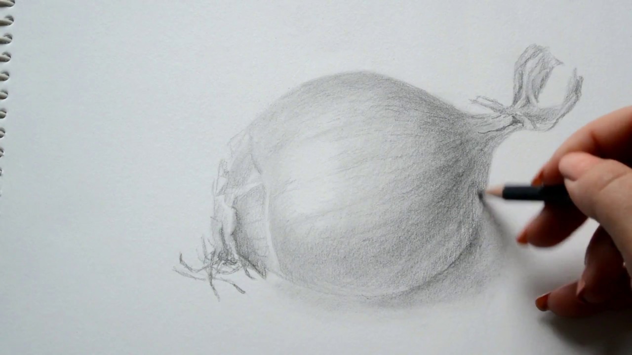 1280x720 How To Draw An Onion - Onion Sketch