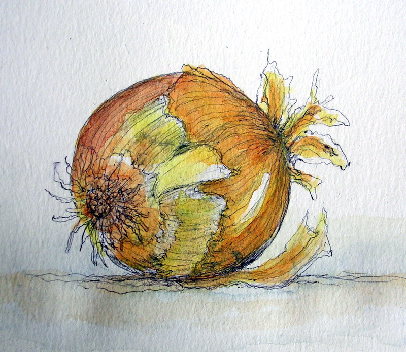 800x694 Onion Sketch Still Waiting To Find Some Flowers In - Onion Sketch