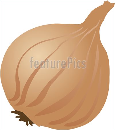 400x450 Onion Sketch Illustration - Onion Sketch