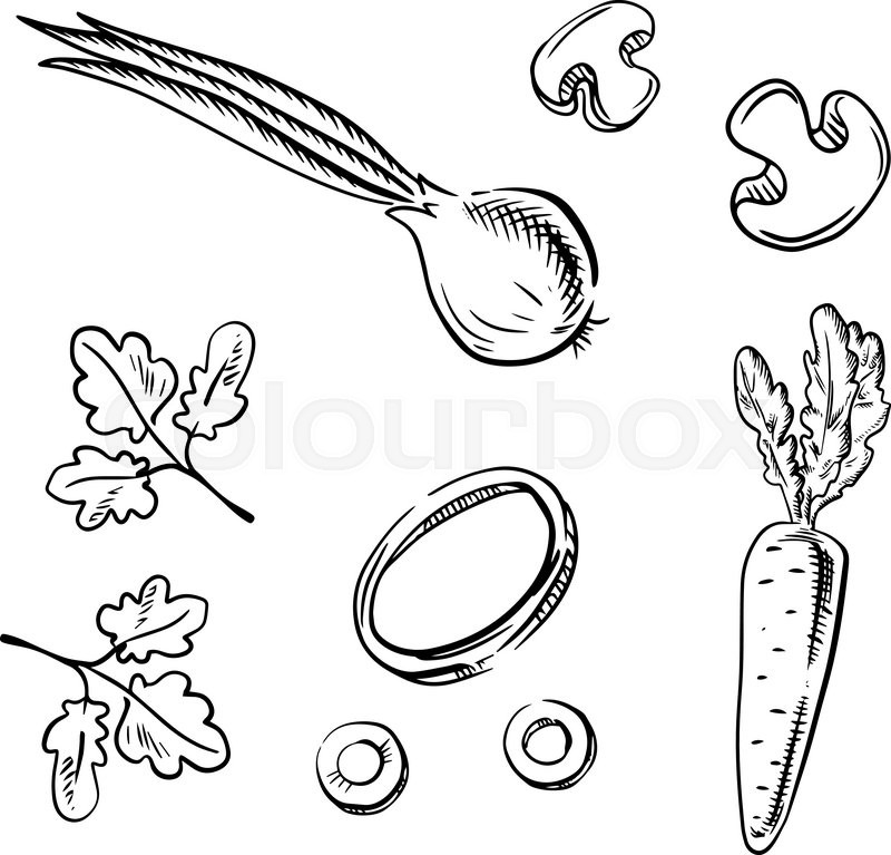 800x767 Sweet Crunchy Carrot, Spicy Onion With Sprouted Leaves Vegetables - Onion Sketch