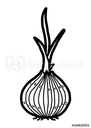 357x500 Onion Budding Cartoon Vector And Illustration, Black And White - Onion Sketch