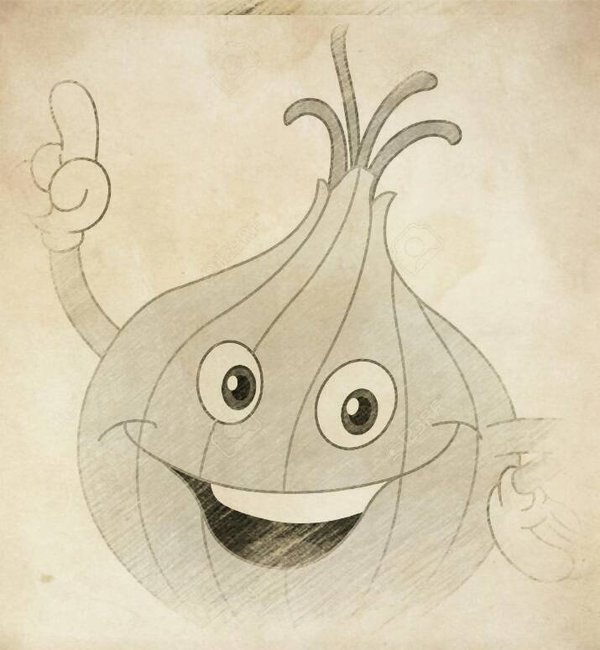 600x650 Sketch Onion By Ncolque - Onion Sketch