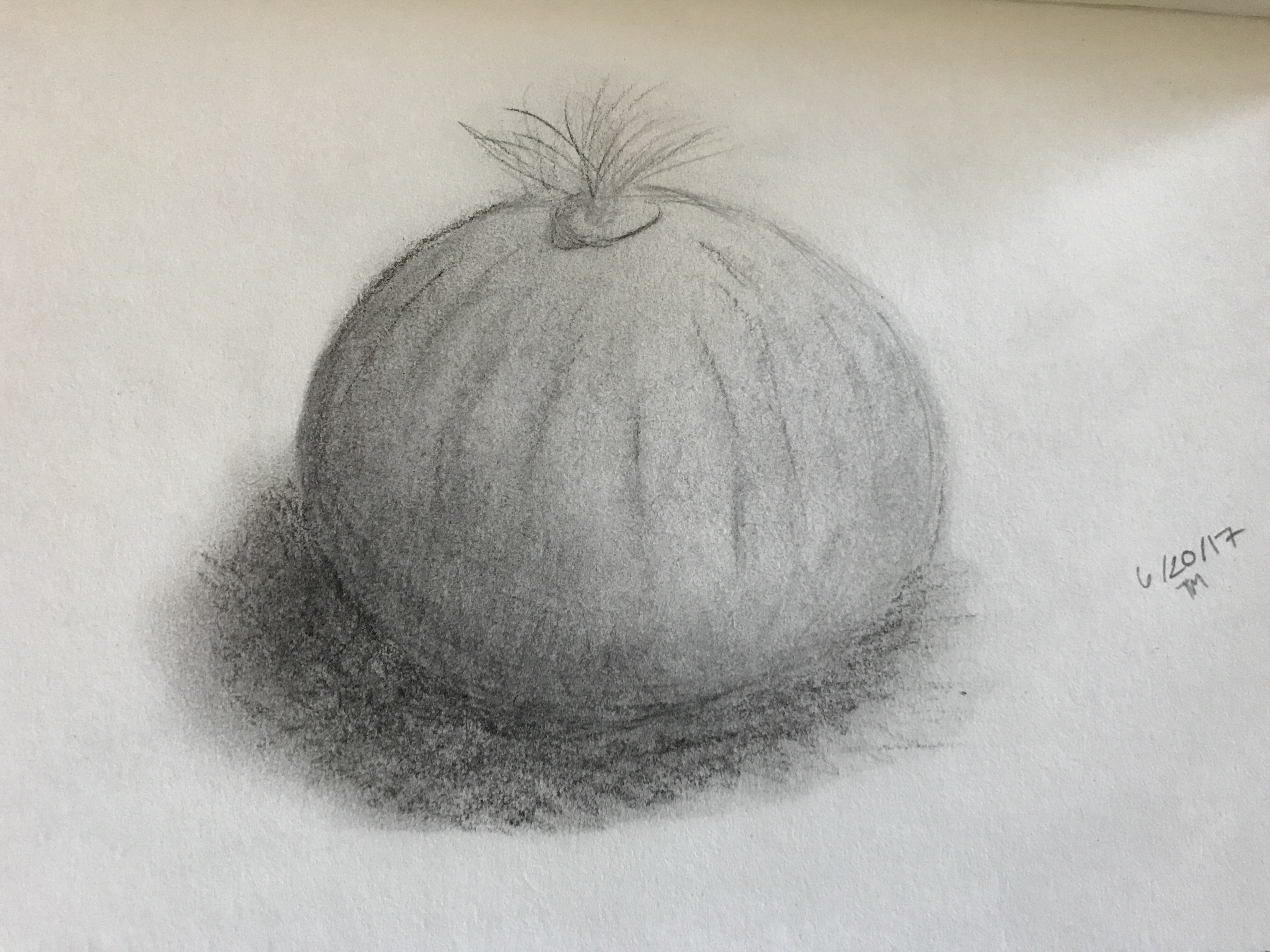 4032x3024 Daily Sketch - Onion Sketch