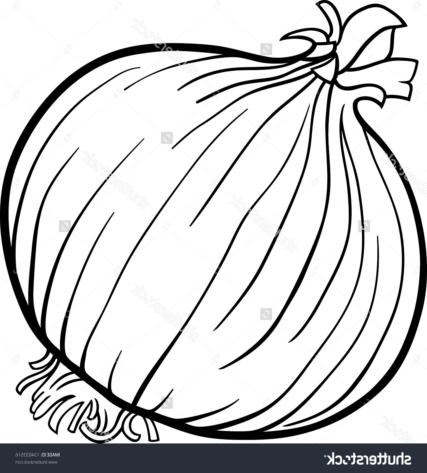 Onion Sketch at Explore collection of Onion Sketch