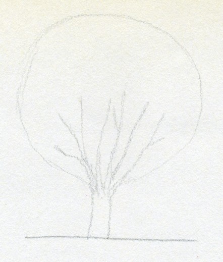 442x519 Draw A Tree Simply And Easily - Only Sketch
