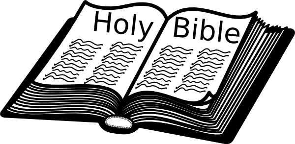 600x294 D V D Holy Bible Clip Art - Open Bible Sketch