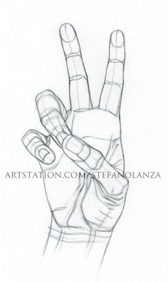 236x395 How Draw Open Hand Step Step Drawing Hands - Open Hand Sketch