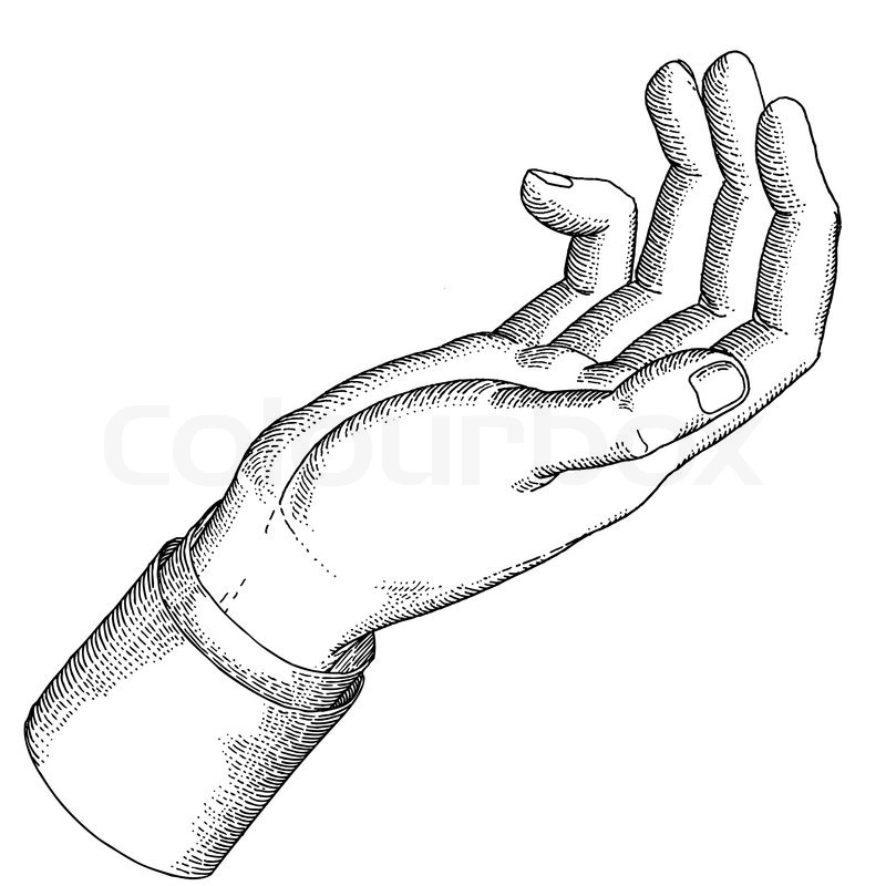 800x800 The Holdinghand With Open Palm Gesture Stock Vector Colourbox - Open Hand Sketch