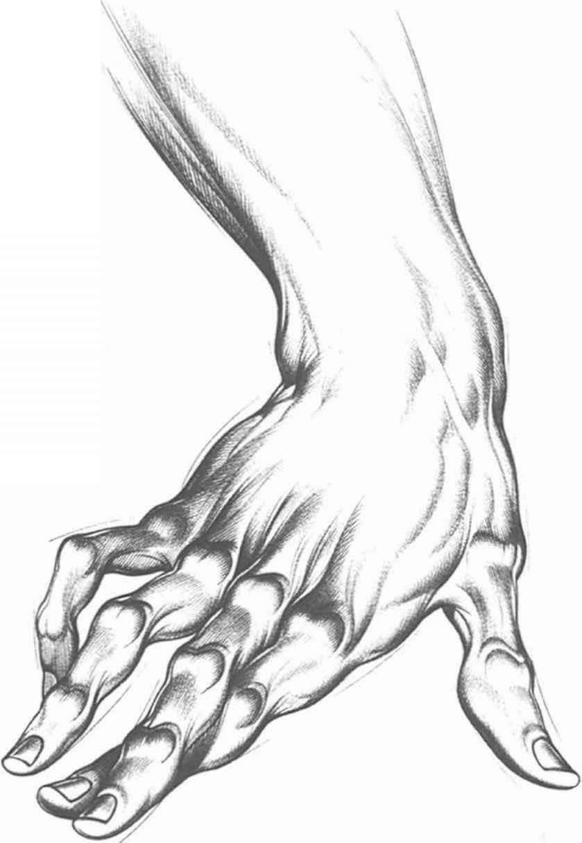 839x1215 Countingj - Open Hand Sketch