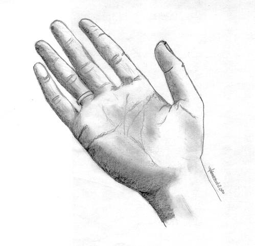 499x481 Fileopen Hand.jpg - Open Hand Sketch