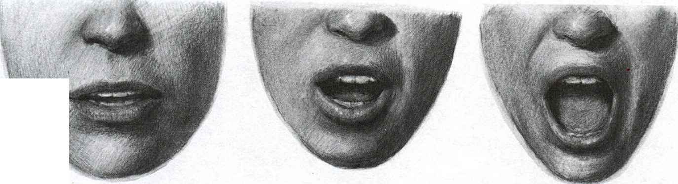 1374x374 How The Mouth Changes Shape As It Opens - Open Mouth Sketch