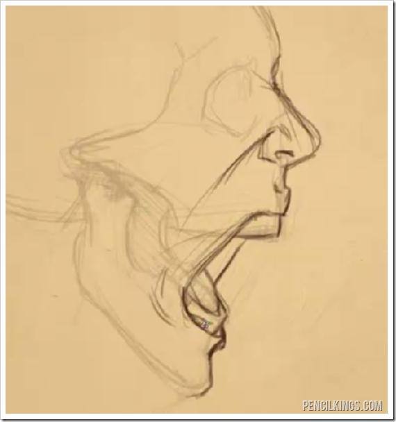 570x608 How To Draw An Open Mouth From The Side - Open Mouth Sketch