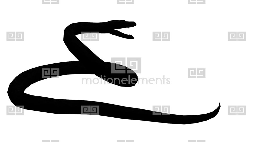 1024x576 Snake Ampamp Jungle Carpet Python Open Mouth Attack,sliding Sketch - Open Mouth Sketch
