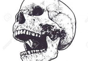 300x210 Drawing Of An Open Mouth 4 Ways To Draw Mouths - Open Mouth Sketch