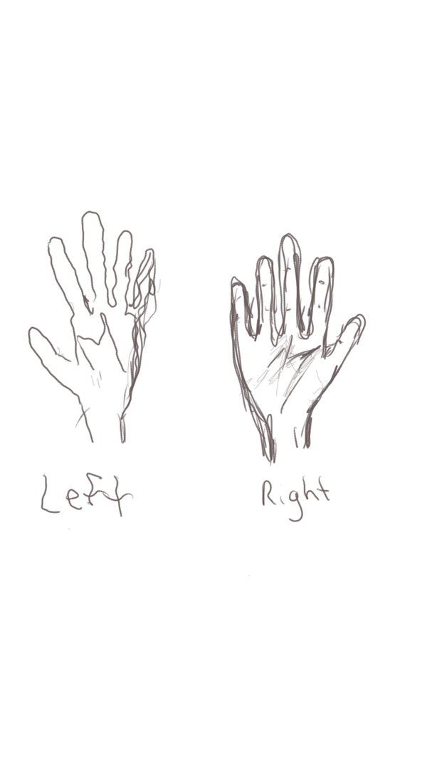 600x1067 Opposite Hand Sketch By Laris89 - Opposite Of Sketch