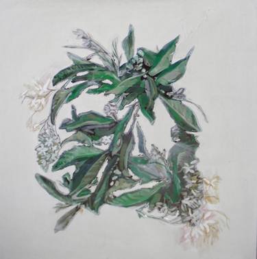 375x378 Orange Blossom Paintings For Sale Saatchi Art - Orange Blossom Sketch